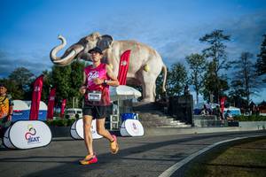 BIB: 
                            <button type="button" onclick="openModal(26541644)" class="btn btn-primary btn-sm float-right btn-popup" data-toggle="modal" data-target=".modal-high-quality">
                        <i class="fas fa-shopping-cart"></i> Add to Cart
                    </button>
                                            <button type="button" onclick="isThisMe(26541644, true)" class="btn btn-success btn-sm float-right btn-popup btn-isme hidden" data-toggle="tooltip" data-placement="bottom" title="นี่คือรูปของคุณใช่ไหม คลิกที่นี่เพื่อเอาเข้าอัลบั้ม">
                        <i class="fas fa-plus"></i> Add to album
                    </button>
                    <button type="button" onclick="isThisMe(26541644, false)" class="btn btn-warning btn-sm float-right btn-popup btn-isnotme hidden">
                        <i class="fas fa-ban"></i> Remove from album
                    </button>